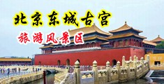 动漫男生舔女生阴蒂中国北京-东城古宫旅游风景区
